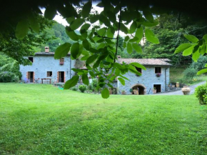 Relax totale nel Bosco Lucca Piano Di Coreglia-Ghivizzano